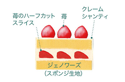 ホワイトノエル4号断面