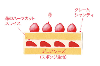 ホワイトノエル5号断面